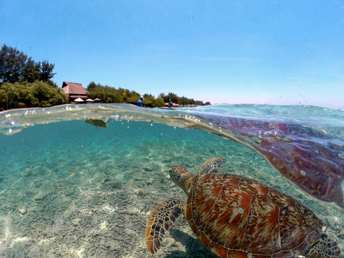Mimpi Bungalow Gili Meno Ngoại thất bức ảnh
